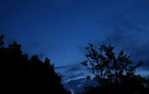 application03-outdoor night vision03-Animal Observation 01