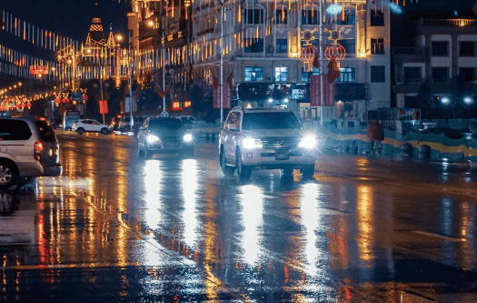 Pedestrian and Animal Detection