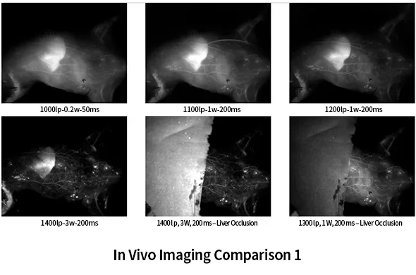 In Vivo Imaging Comparison 2