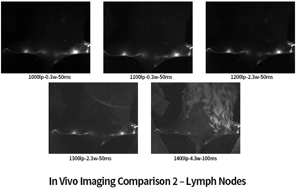 In Vivo Imaging Comparison